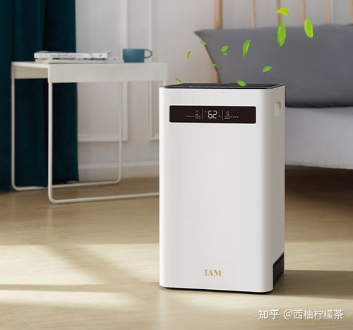 高顏值且實用的家居家電與櫥柜推薦指南